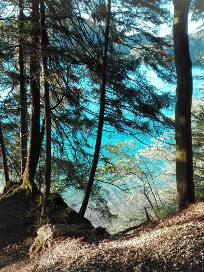Appartamento Feichtingerbauer Fuschl am See Esterno foto