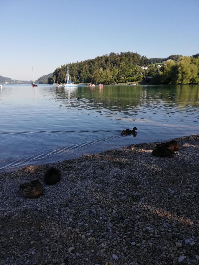 Appartamento Feichtingerbauer Fuschl am See Esterno foto