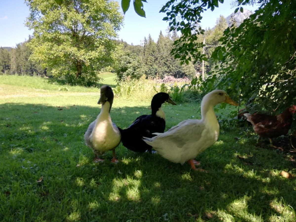 Appartamento Feichtingerbauer Fuschl am See Esterno foto